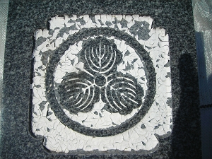 エナメル再塗布前