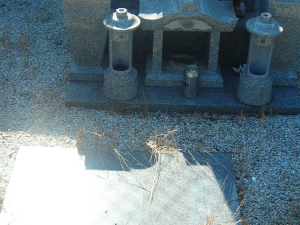 防草マサ施工前